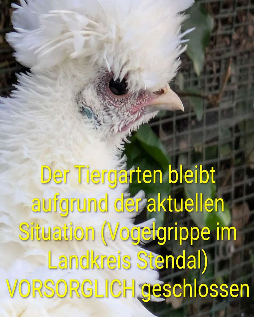 Grafischer Veranstaltungshinweis für Tierpark Stendal bleibt wegen Geflügelpest vorsorglich geschlossen